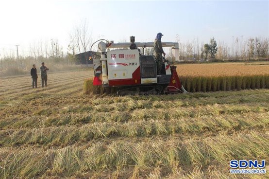 济宁：鱼台农机中心注重新技术推广应用 助力水稻丰产丰收（图）